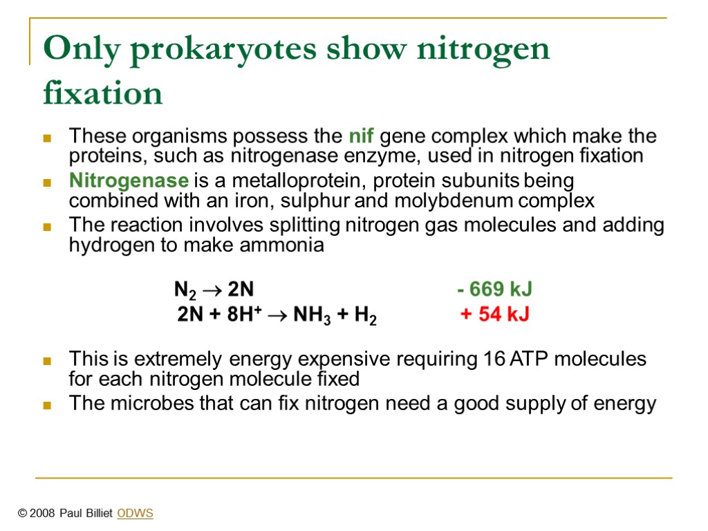 Only prokaryotes show nitrogen fixation These organisms possess the nif gene complex which make
